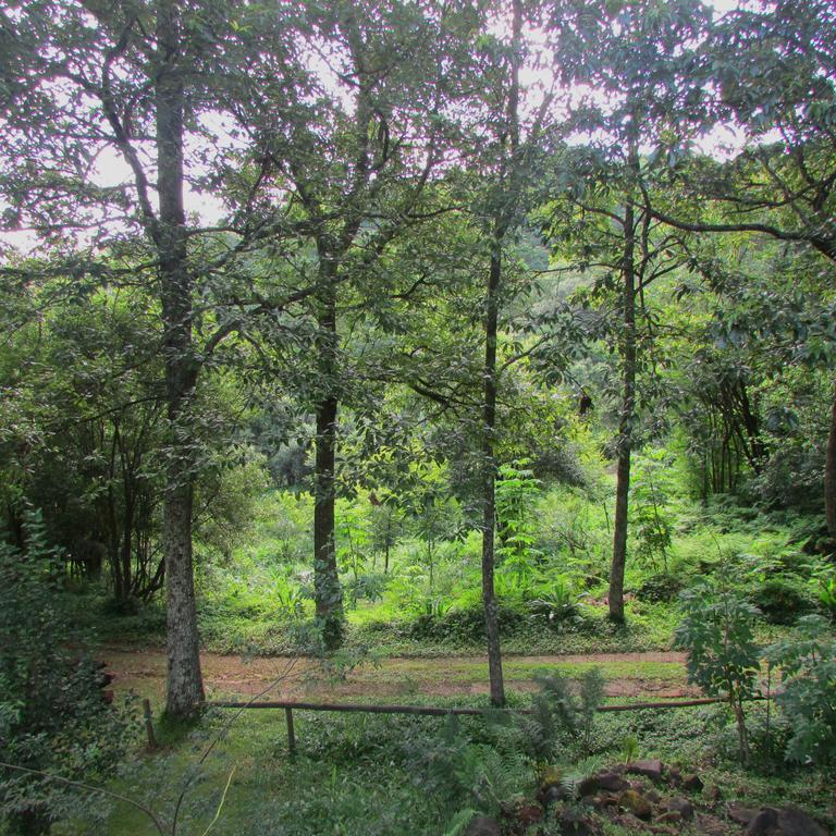 Old Pine Cabin Karkloof Yarrow Dış mekan fotoğraf