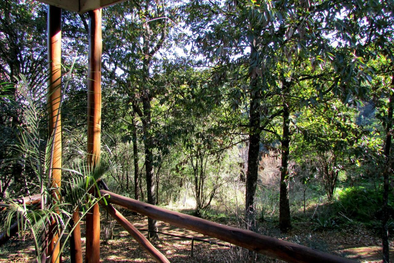 Old Pine Cabin Karkloof Yarrow Dış mekan fotoğraf
